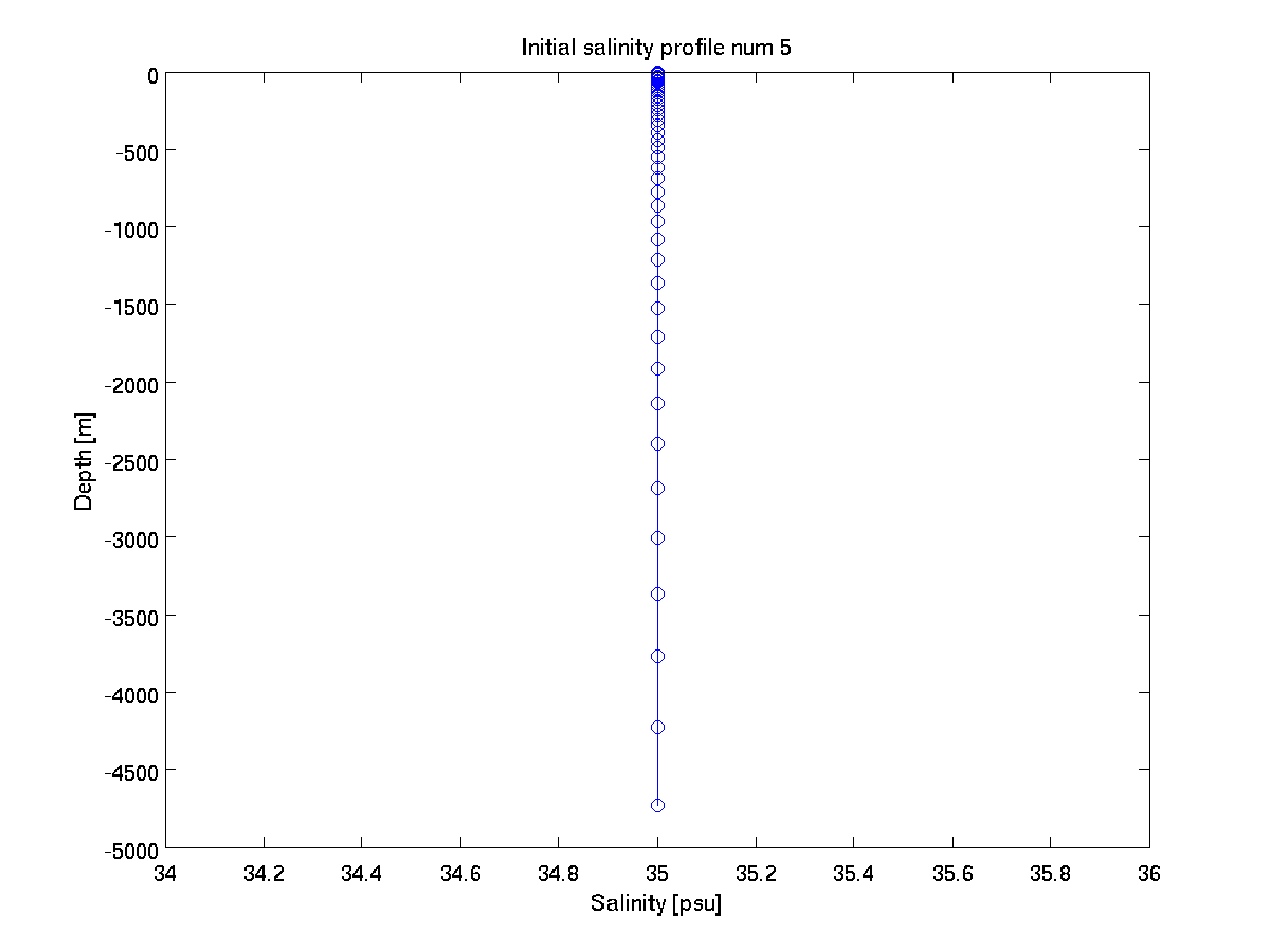 Initial salinity profile.